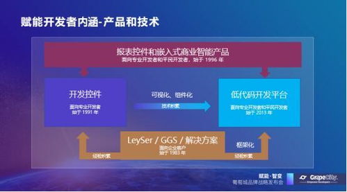 低代碼開發平臺刮起 葡萄城 旋風