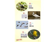 重慶市炎華軟件開發有限公司