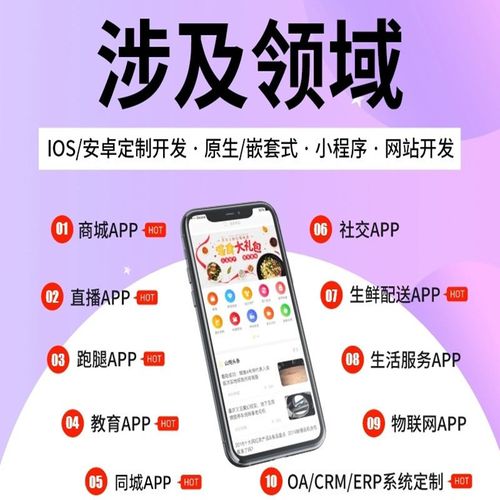 重慶開發定制公司商城物聯網同城直播社區團購招聘軟件制作