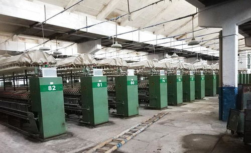 曾是重慶輝煌的企業(yè),有職工7000多人,如今廠破舊雜草叢生
