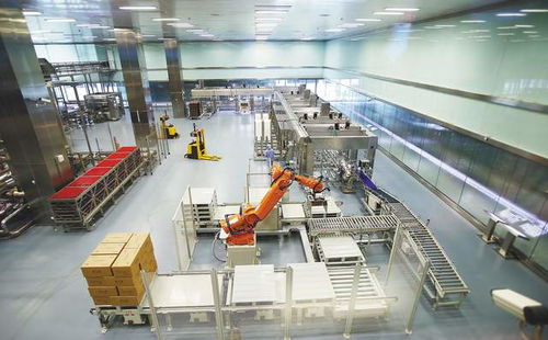 碧桂園成立機器人公司 精工智能將打造220家智能工廠