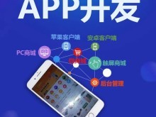 重慶應用軟件開發(fā)