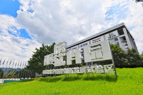 重慶市軟件和信息服務業 滿天星 行動計劃將這么干