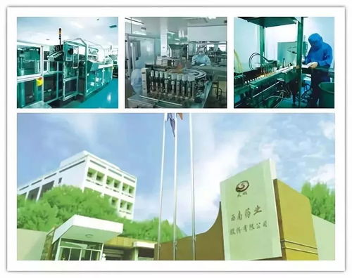改革開放40年,看沙坪壩工業發展