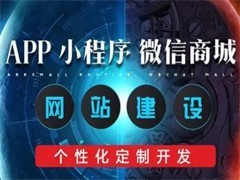 重慶應用軟件開發