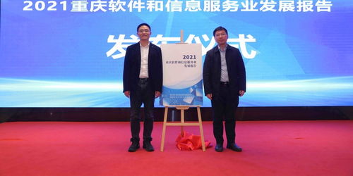 助力 雙城圈 萬億級電子信息產業集群建設 重慶軟件產業繪就了這張發展 施工圖
