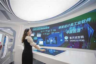 渝中 助力重慶打造中國(guó)軟件特色名城