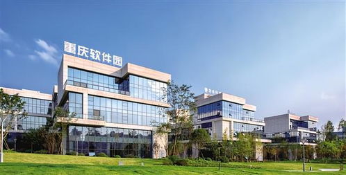 重慶經開區 創一流營商環境 讓企業更具體驗感 獲得感